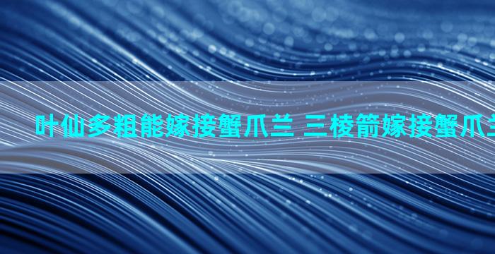 叶仙多粗能嫁接蟹爪兰 三棱箭嫁接蟹爪兰会长高吗